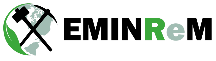 EMINReM Logo